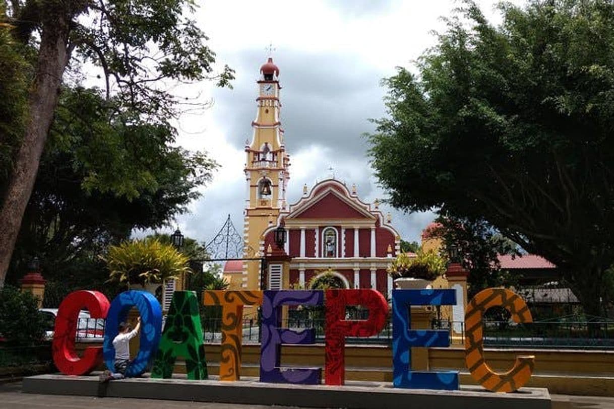 Place Coatepec