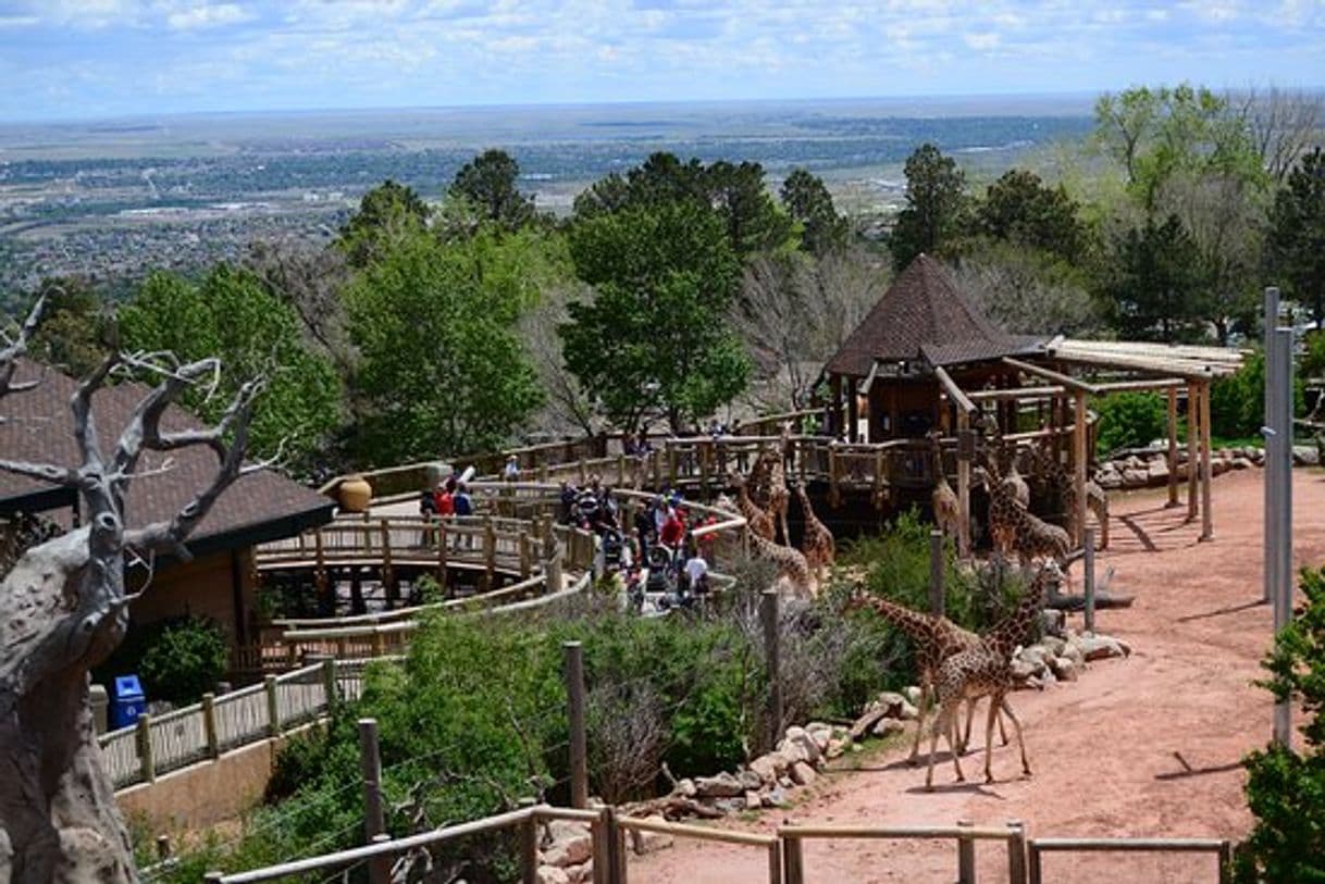 Place Cheyenne Mountain Zoo