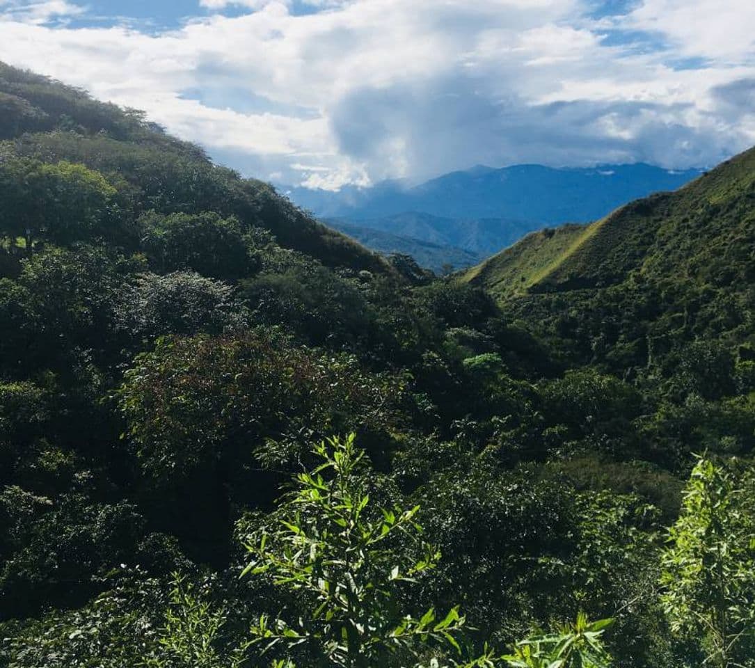 Lugar Medellín