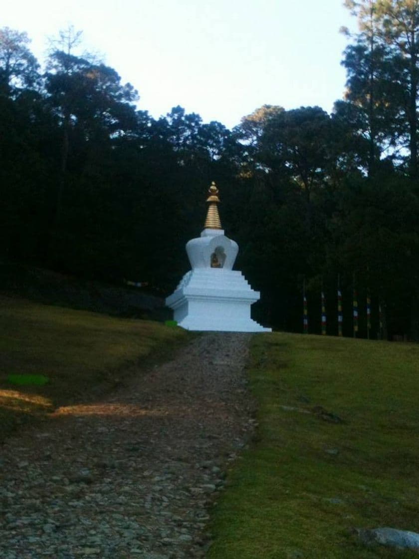 Lugar Gran Stupa Valle De Bravo