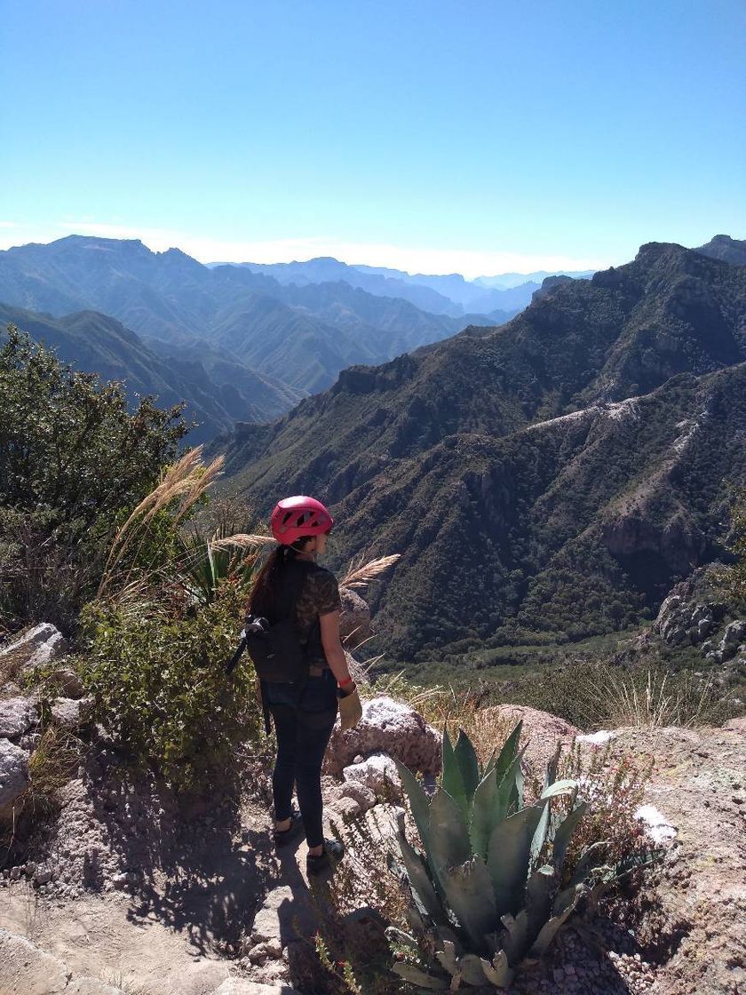 Lugar Barrancas Del Cobre