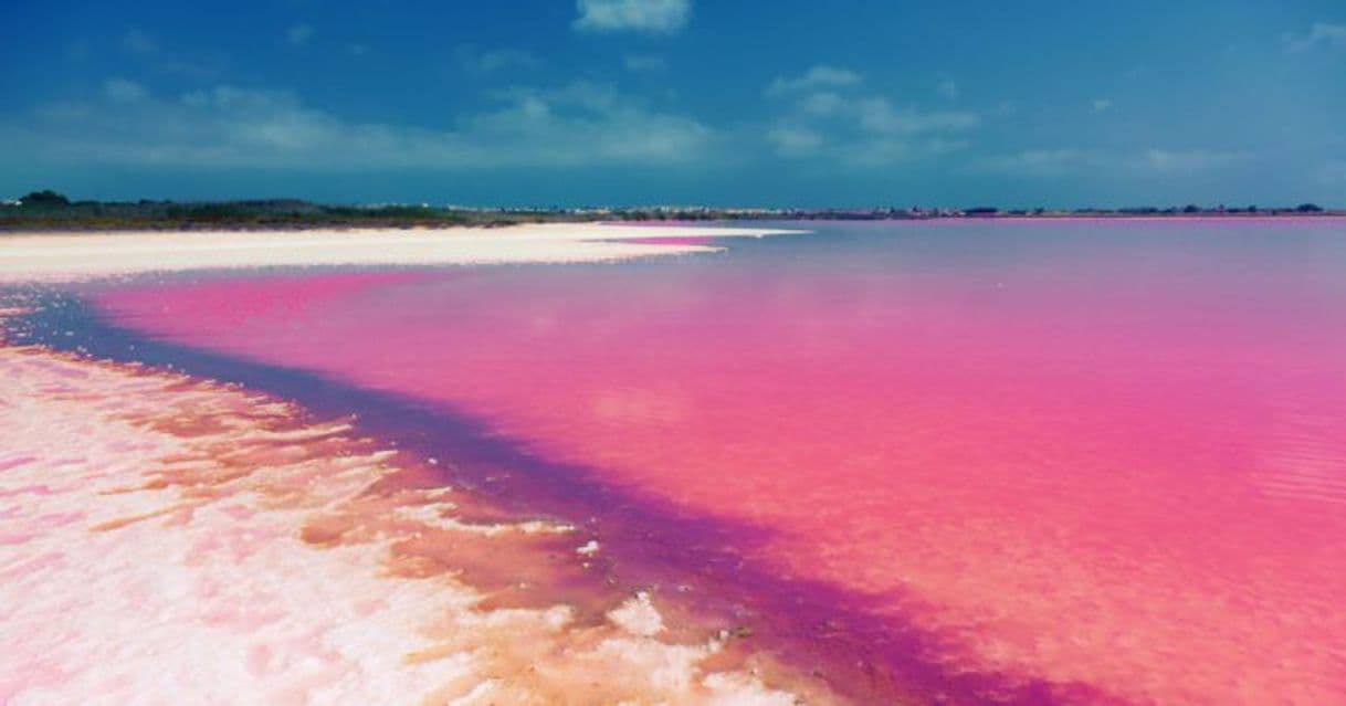 Place Las Coloradas Yucatan