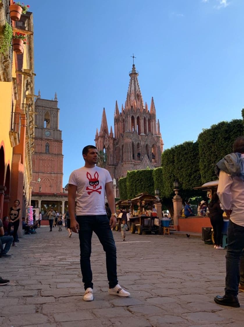 Place San Miguel de Allende