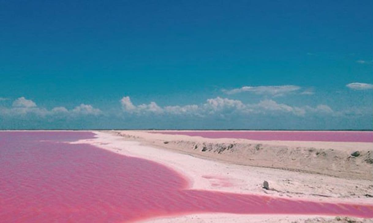 Lugar Las Coloradas Yucatan