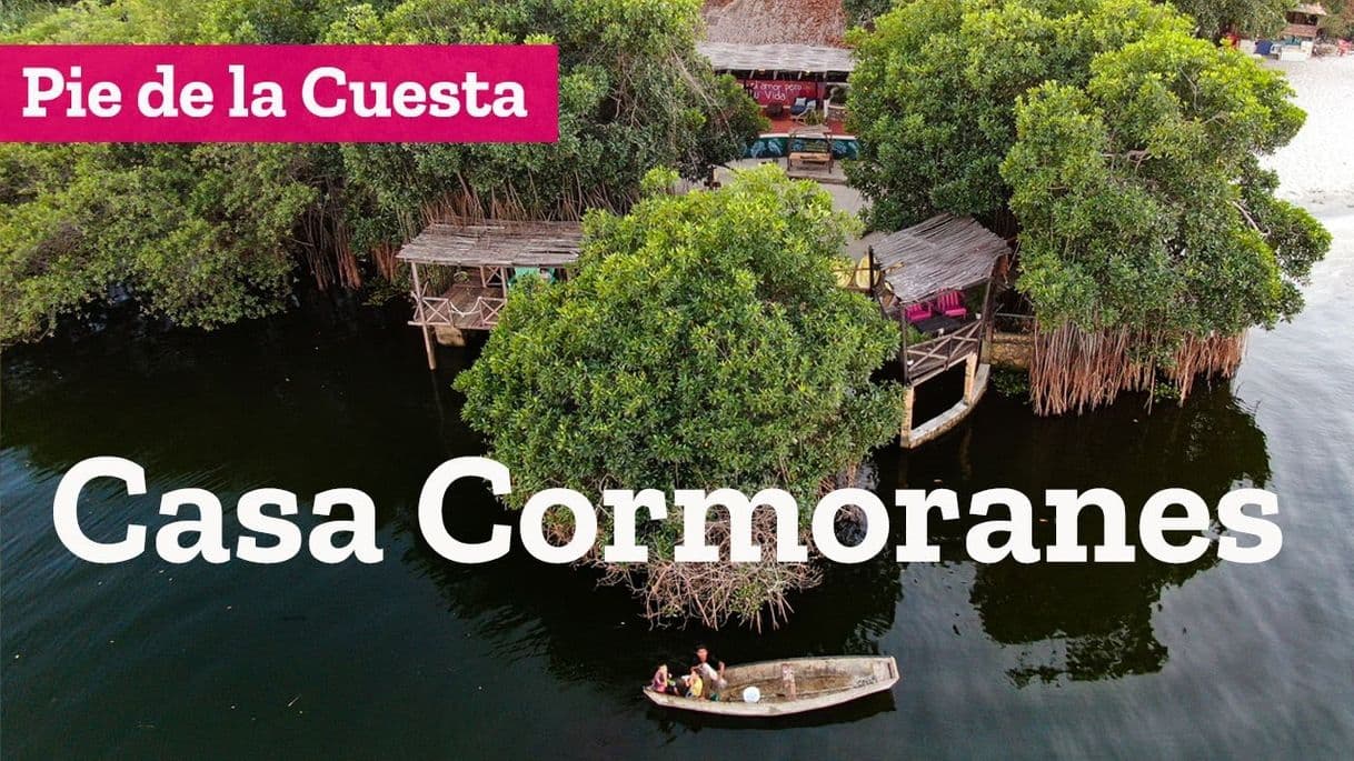 Place Hotel Boutique Casa Cormoranes