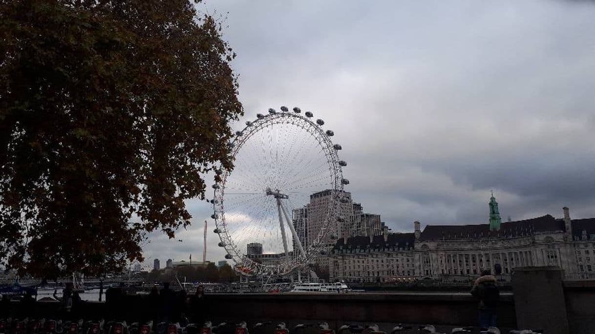 Place London Eye