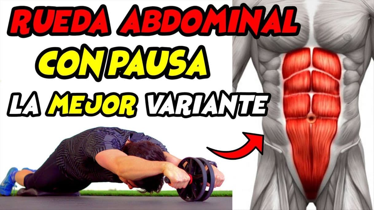 Fashion Variantes de abdominales🤩