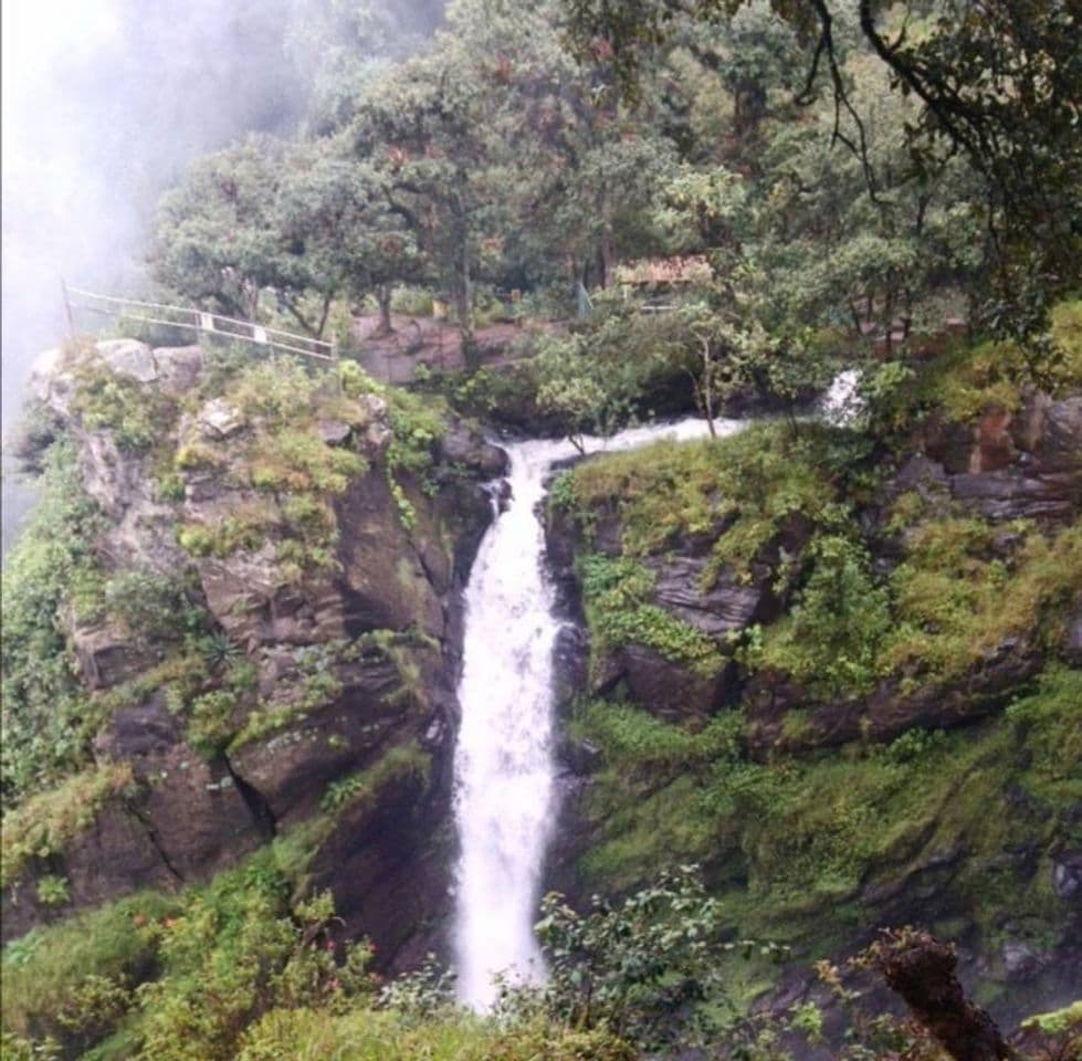 Lugar Cascadas Salto de Quetzalapan