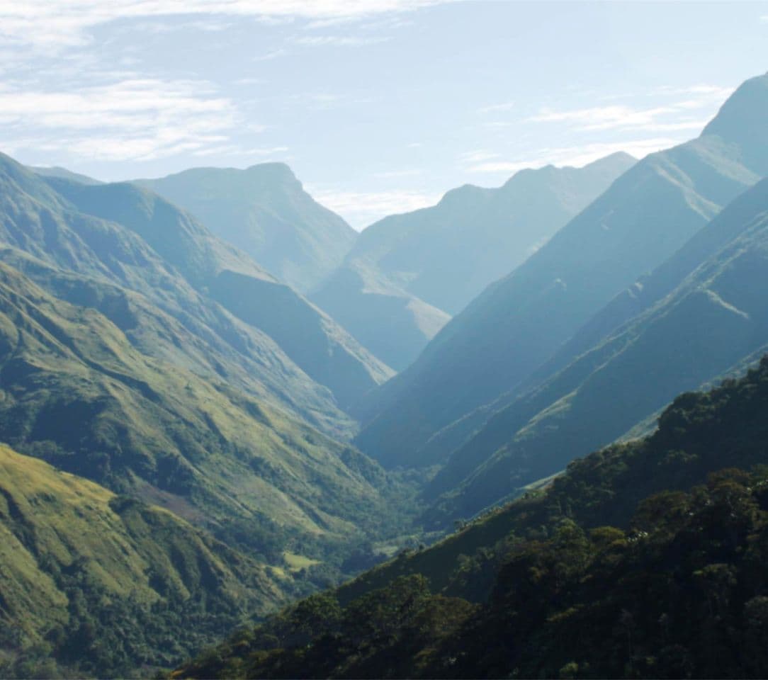 Place Parque Nacional Sierra de Perijá