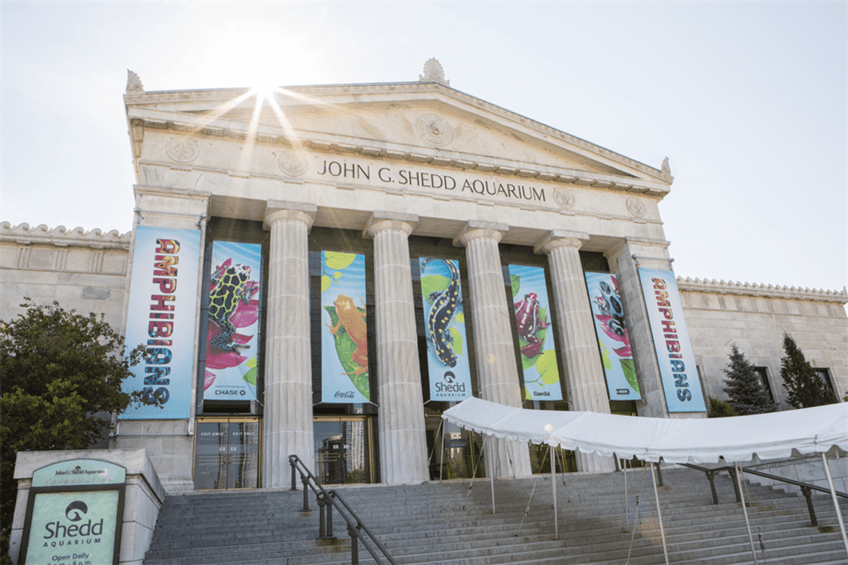 Lugar Shedd Aquarium