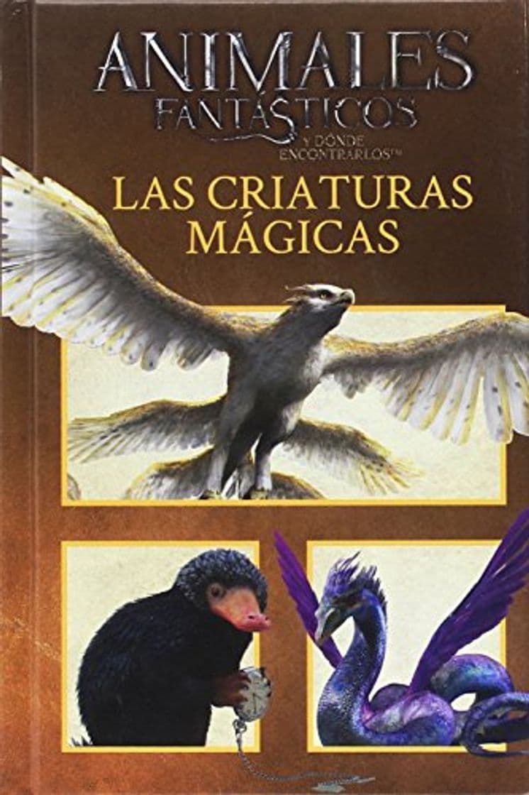 Book Animales fantásticos