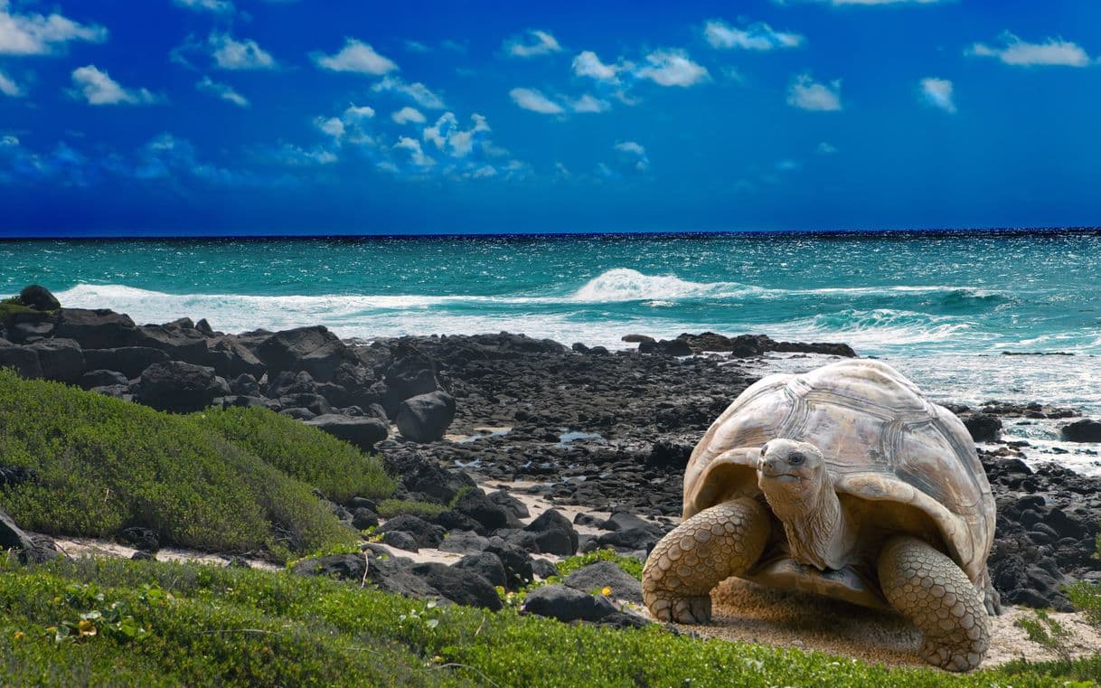 Lugar Galapagos