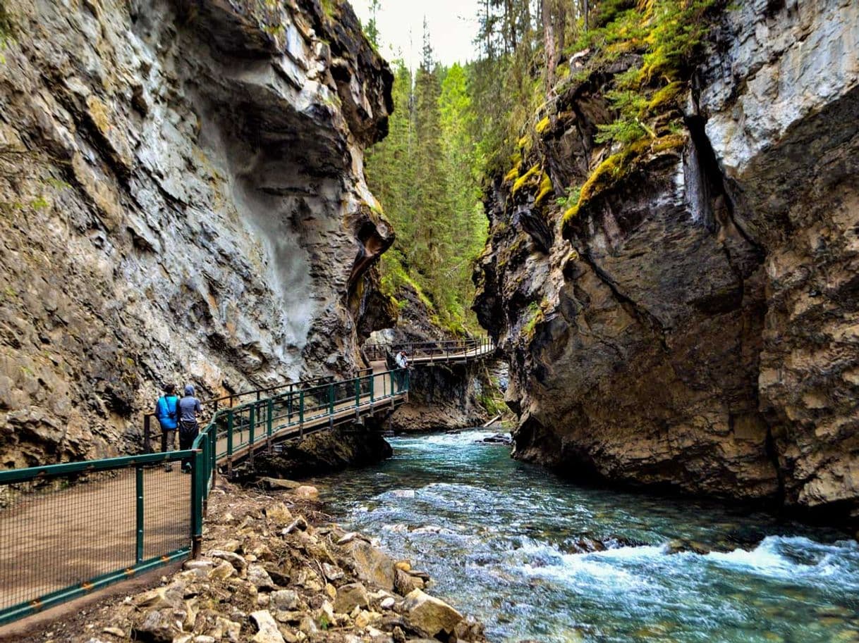 Lugar Johnston Canyon