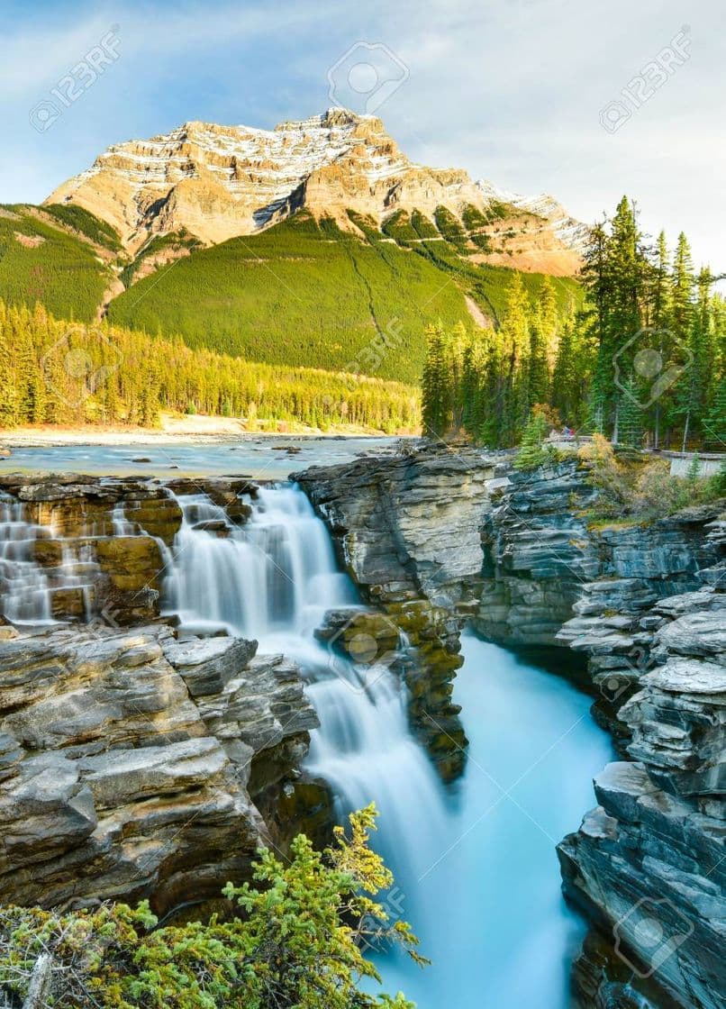 Lugar Athabasca Falls