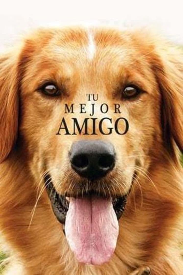 Movie A Dog's Purpose