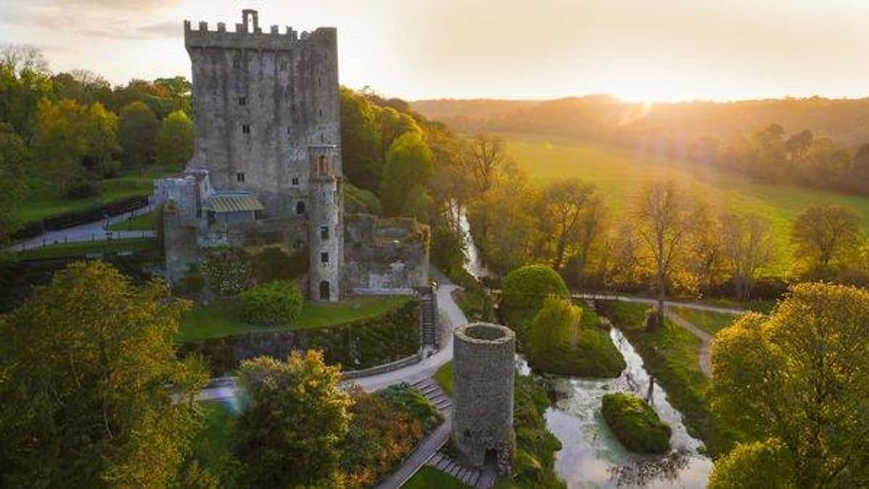 Place Blarney Castle