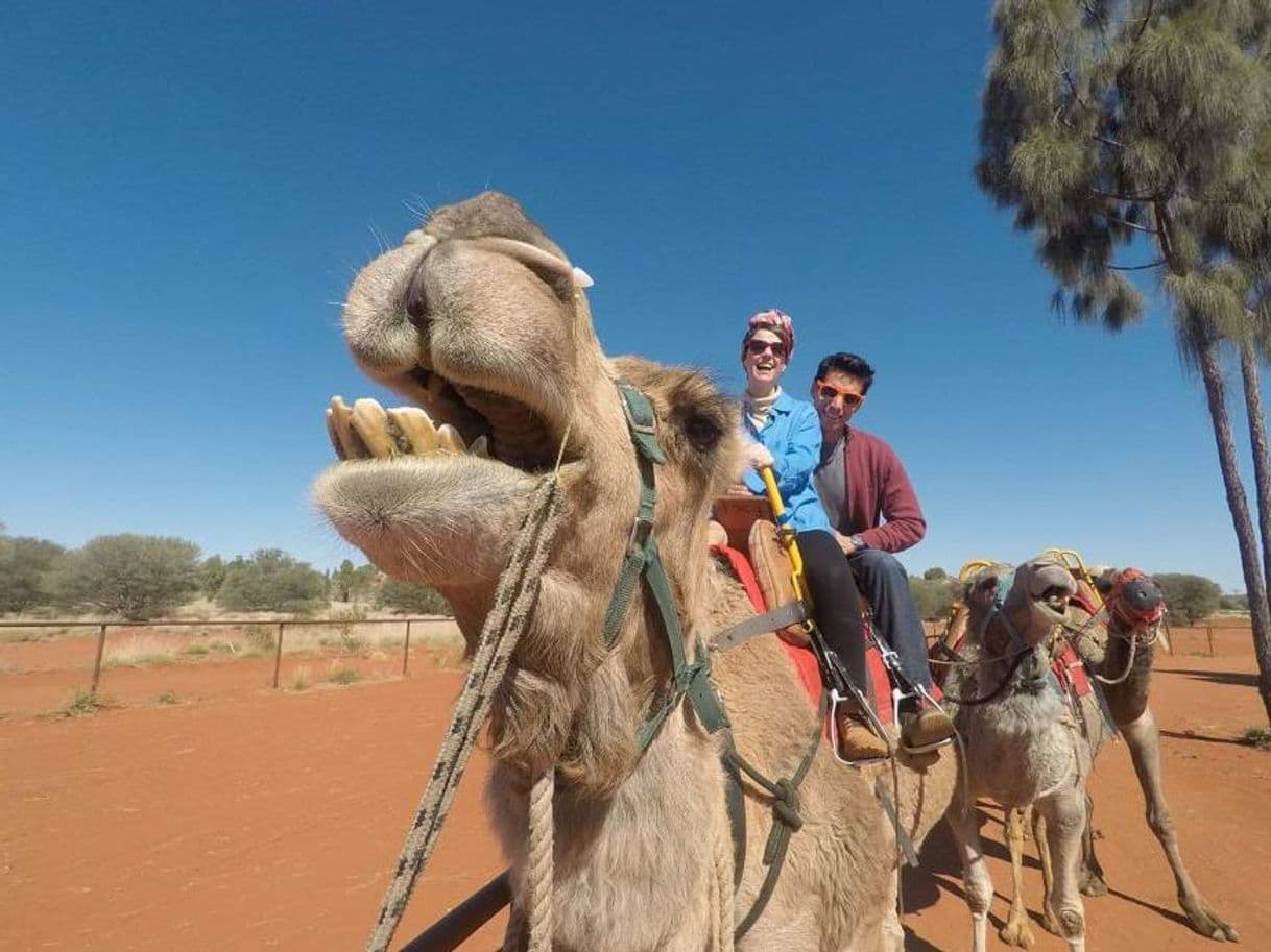 Place Chris Hill's Uluru Camel Tours