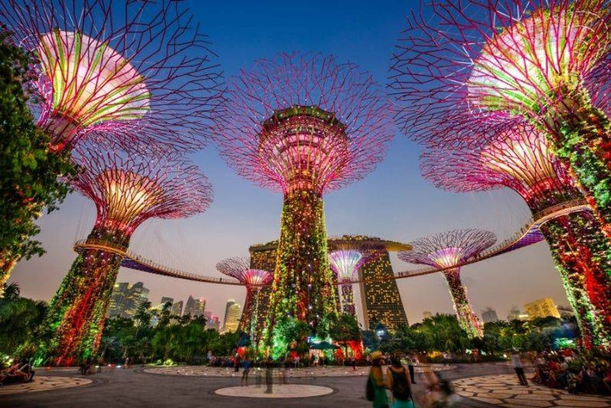 Place Gardens by the Bay