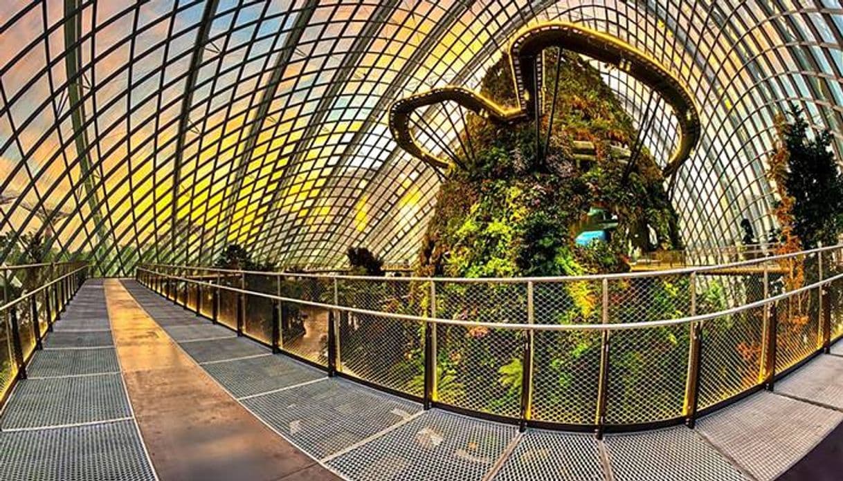 Place Cloud Forest Dome