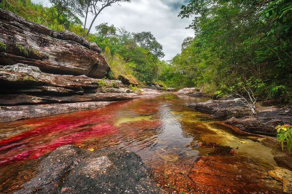 Place Caño Cristales