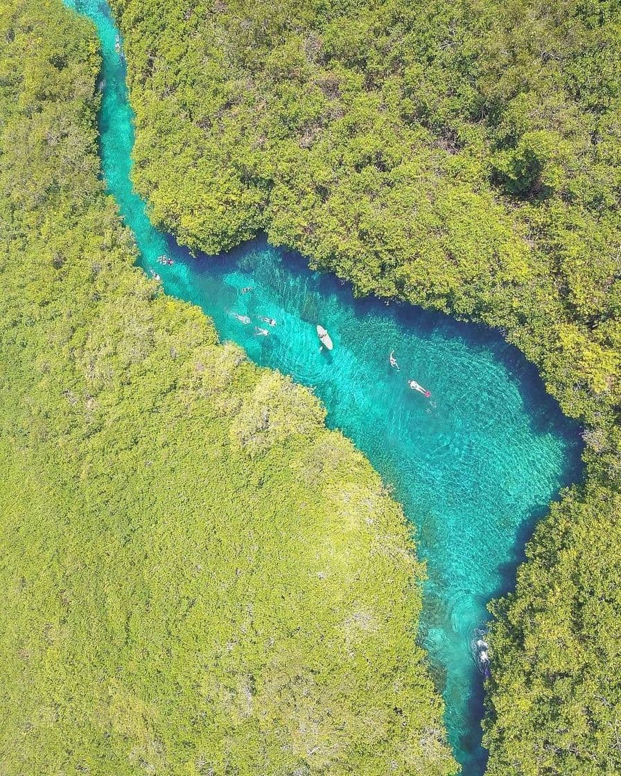 Restaurantes Cenote Manatí