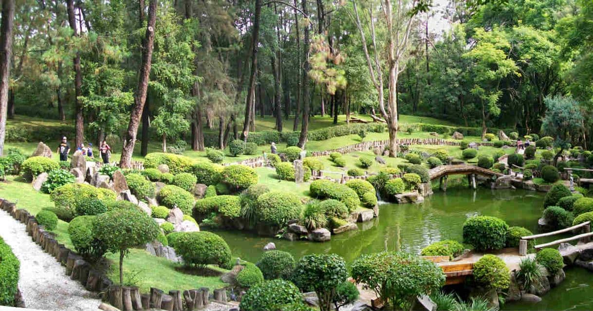 Lugar Jardines de México