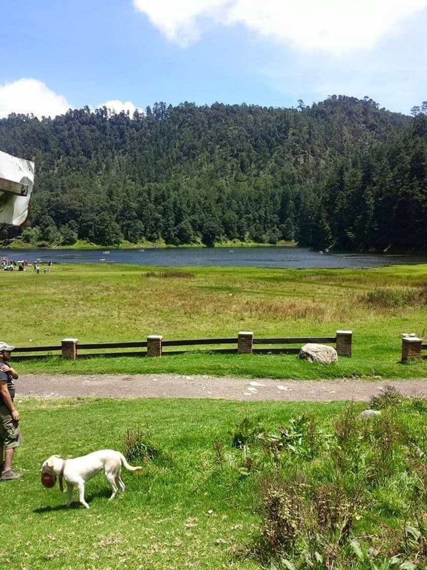 Place Lagunas de Zempoala