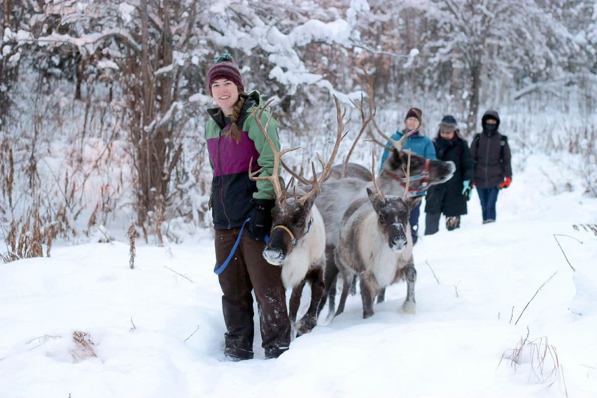 Place Running Reindeer Ranch