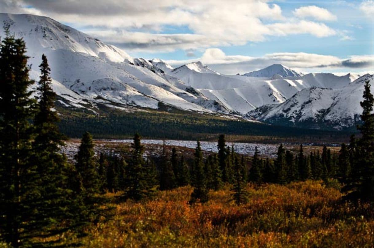 Place Denali National Park and Preserve