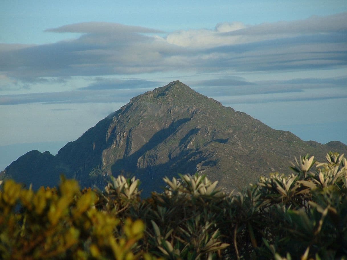 Place Pico Naiguatá