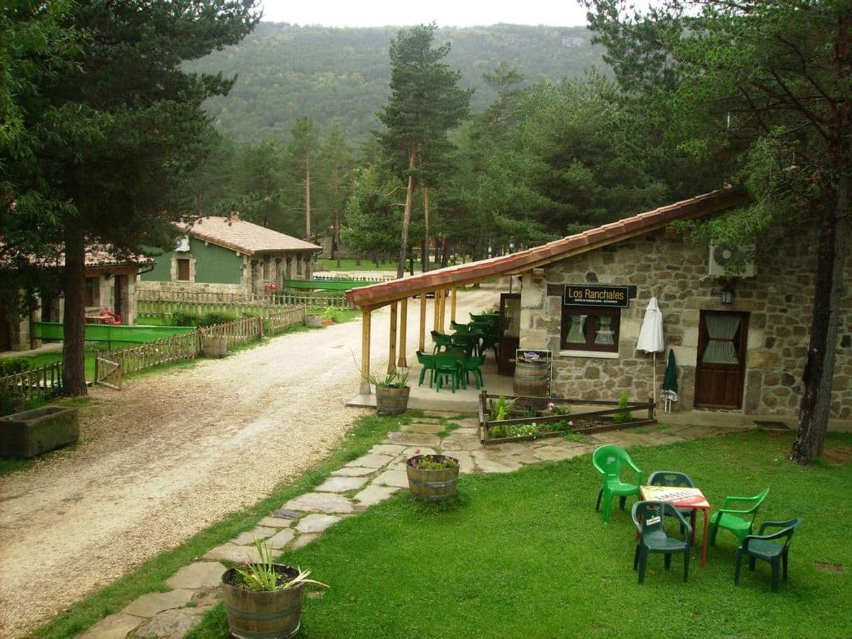 Restaurants C.T.R. Los Ranchales