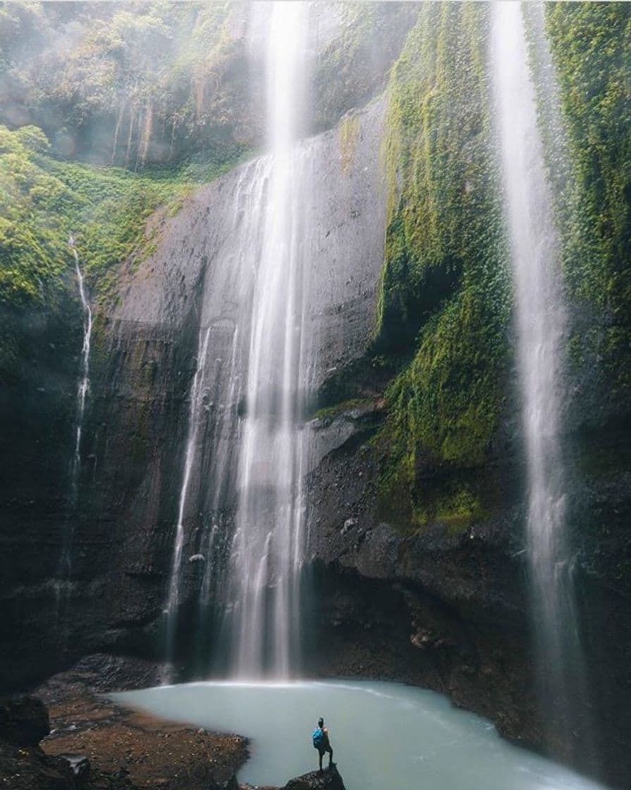 Place Madakaripura Waterfall