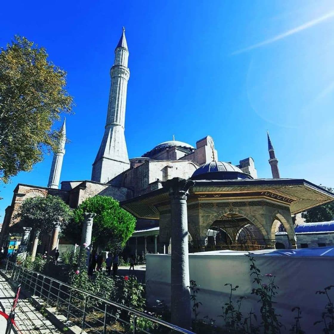 Place Blue mosque