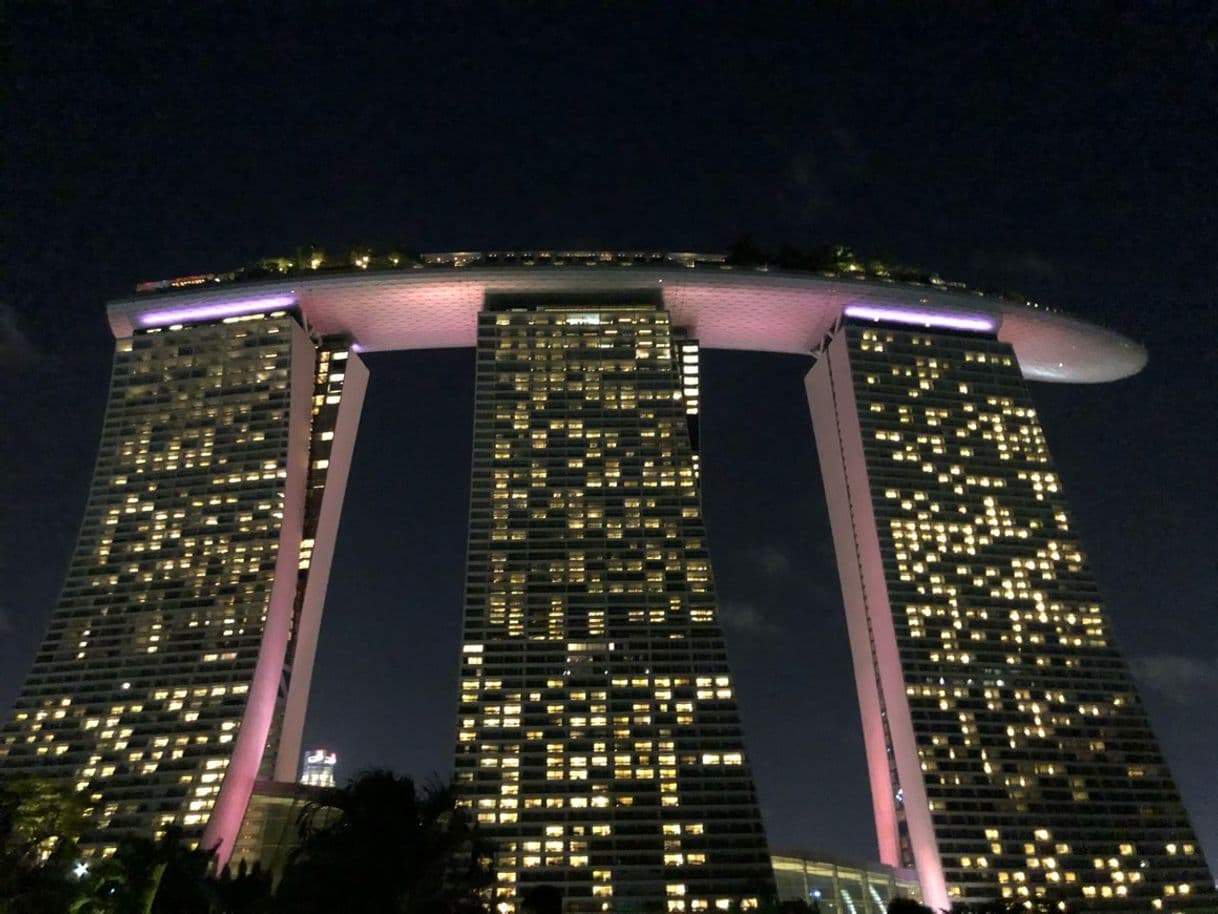 Place Marina Bay Sands Singapore