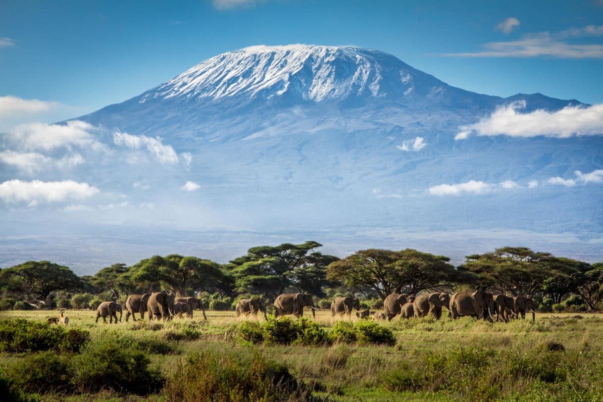 Lugar Kilimanjaro