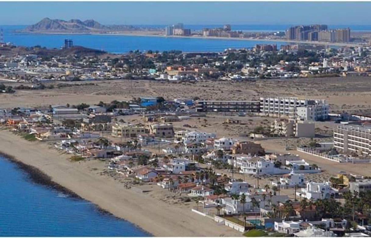 Restaurants Puerto Peñasco