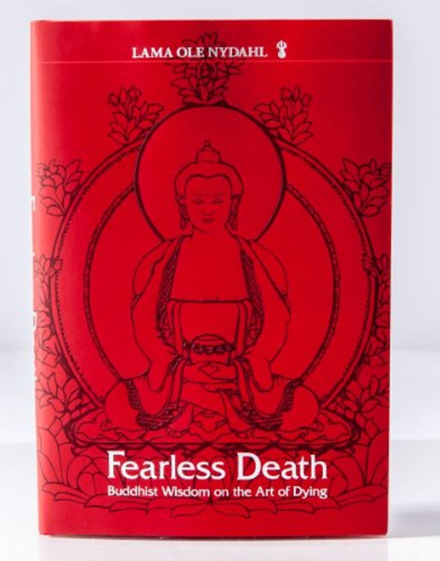 Book Fearless Death - Buddhist Wisdom on the Art of Dying