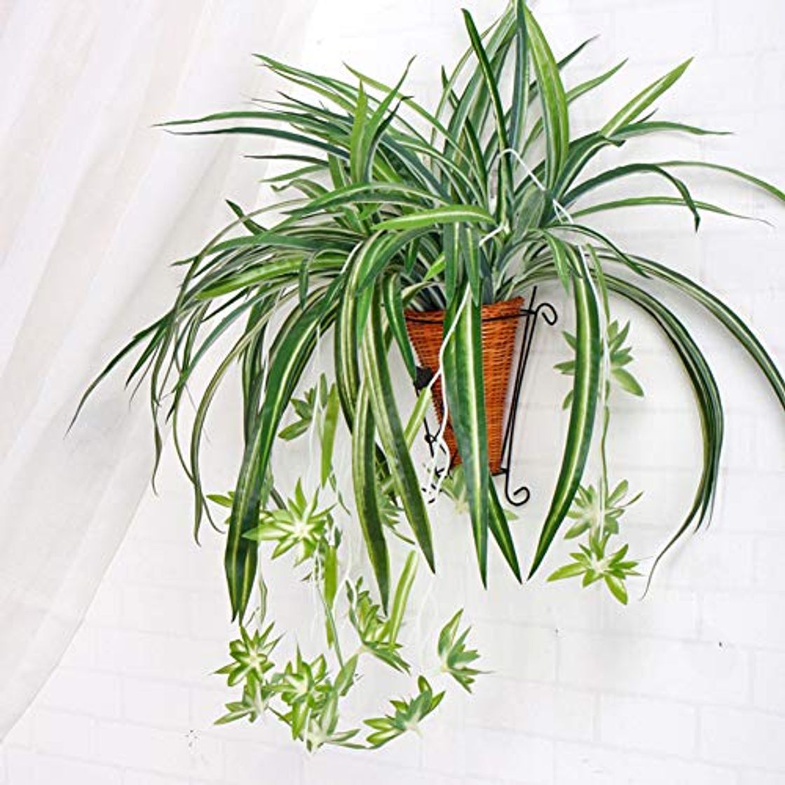 Product KFZR - Planta artificial de araña artificial para decoración de hotel