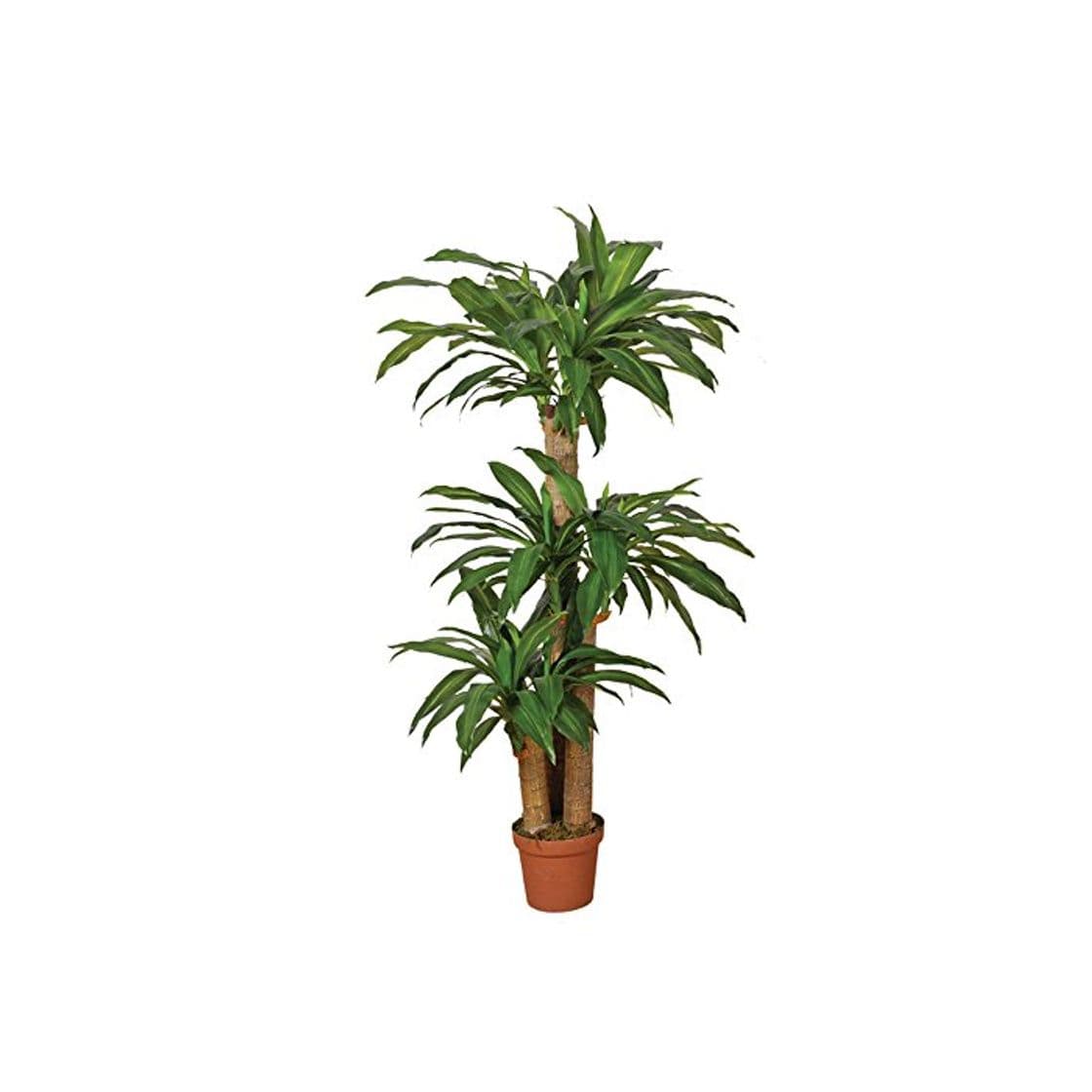 Product Planta artificial drácena 145 cm altura