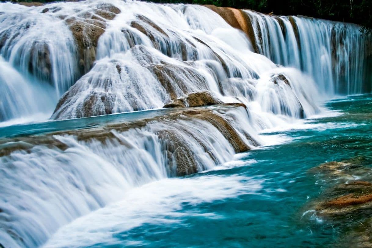 Place Cascadas de Agua Azul