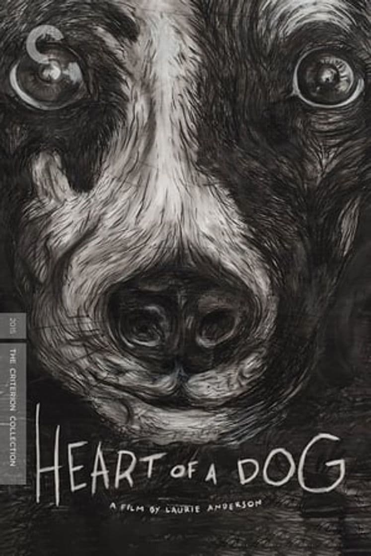 Película Heart of a Dog