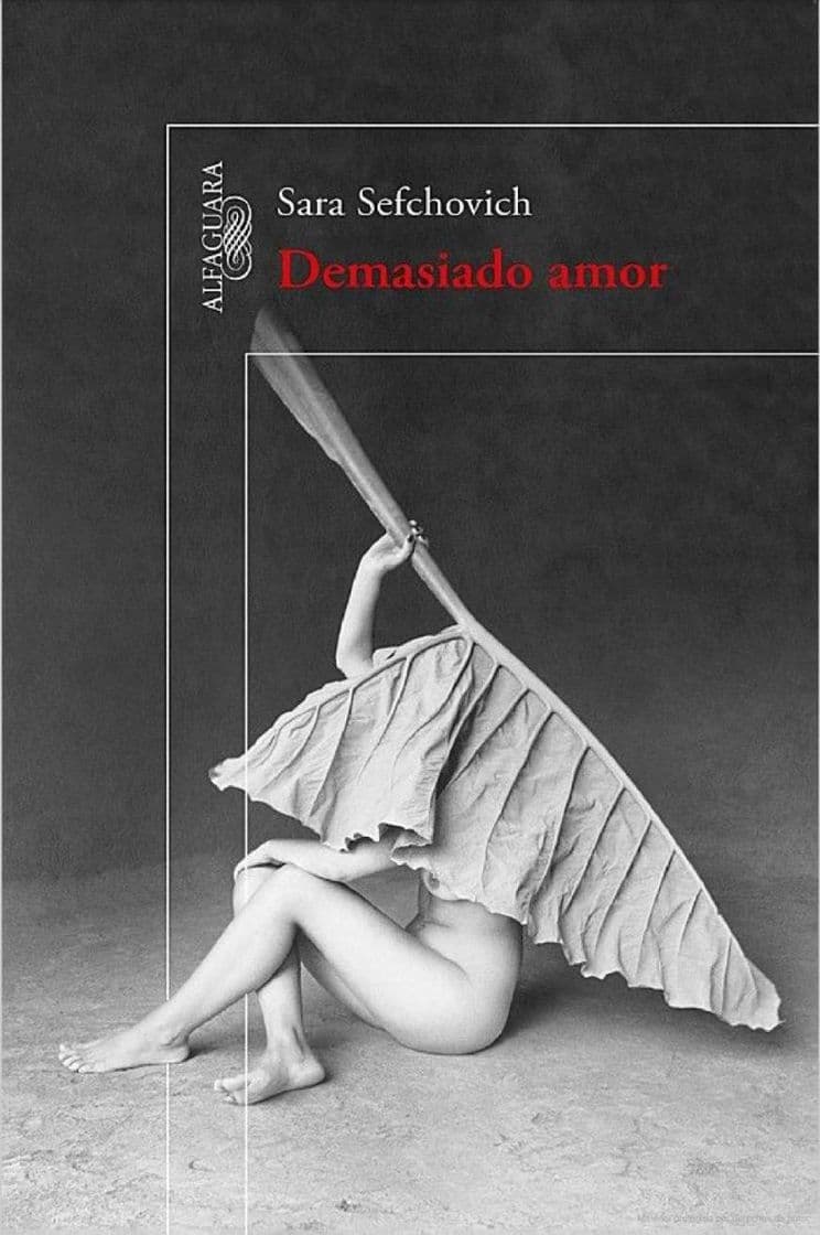 Book Demasiado Amor; de Sara Sefchovich