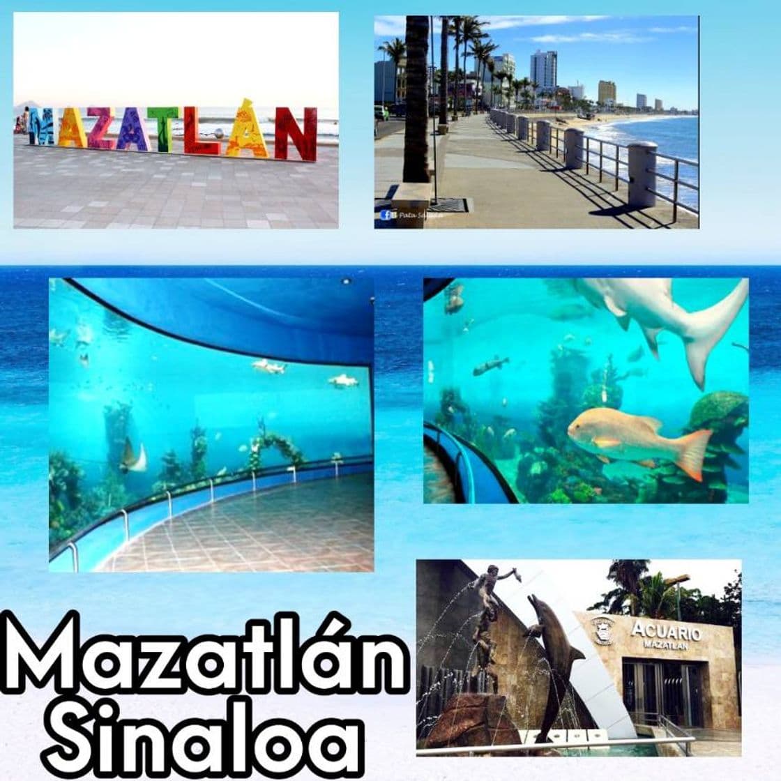 Place Mazatlán