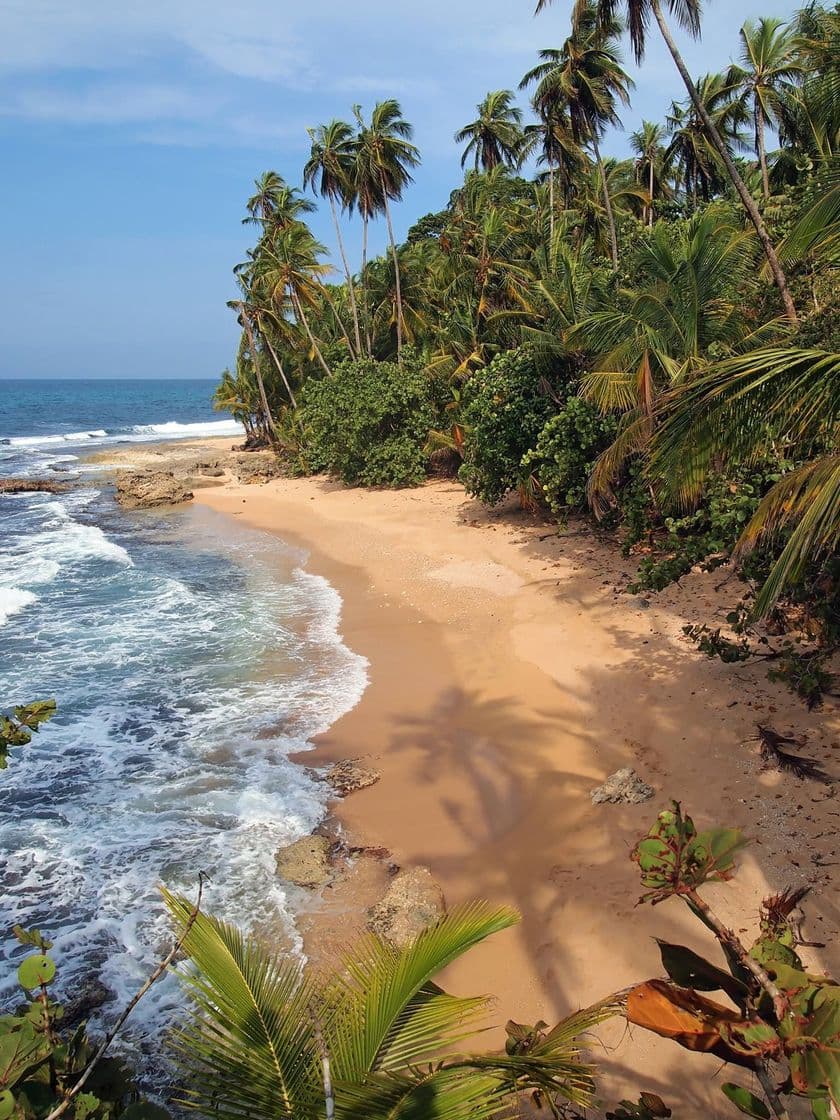 Lugar Puerto Viejo de Limón