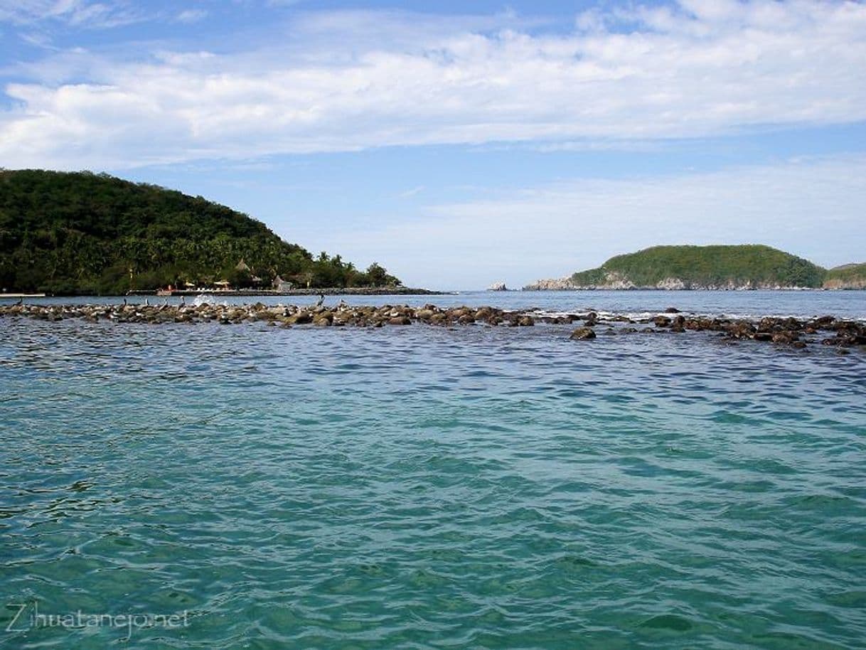 Lugar Playa las Gatas