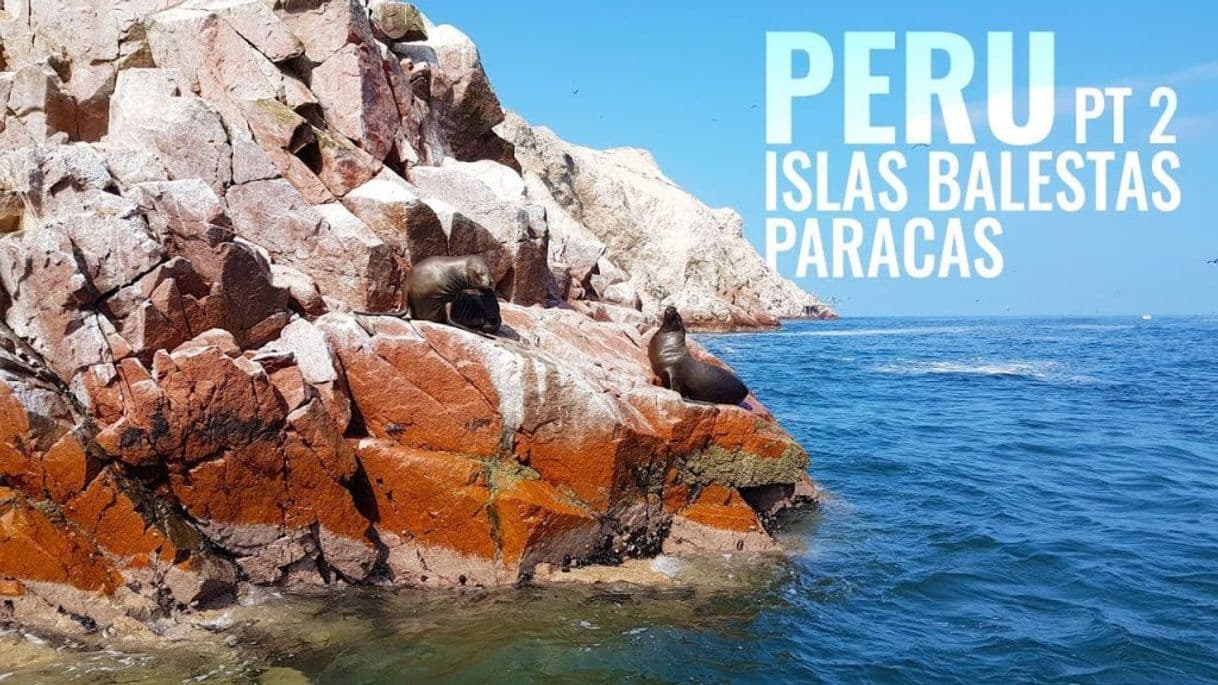 Lugar Islas Ballestas