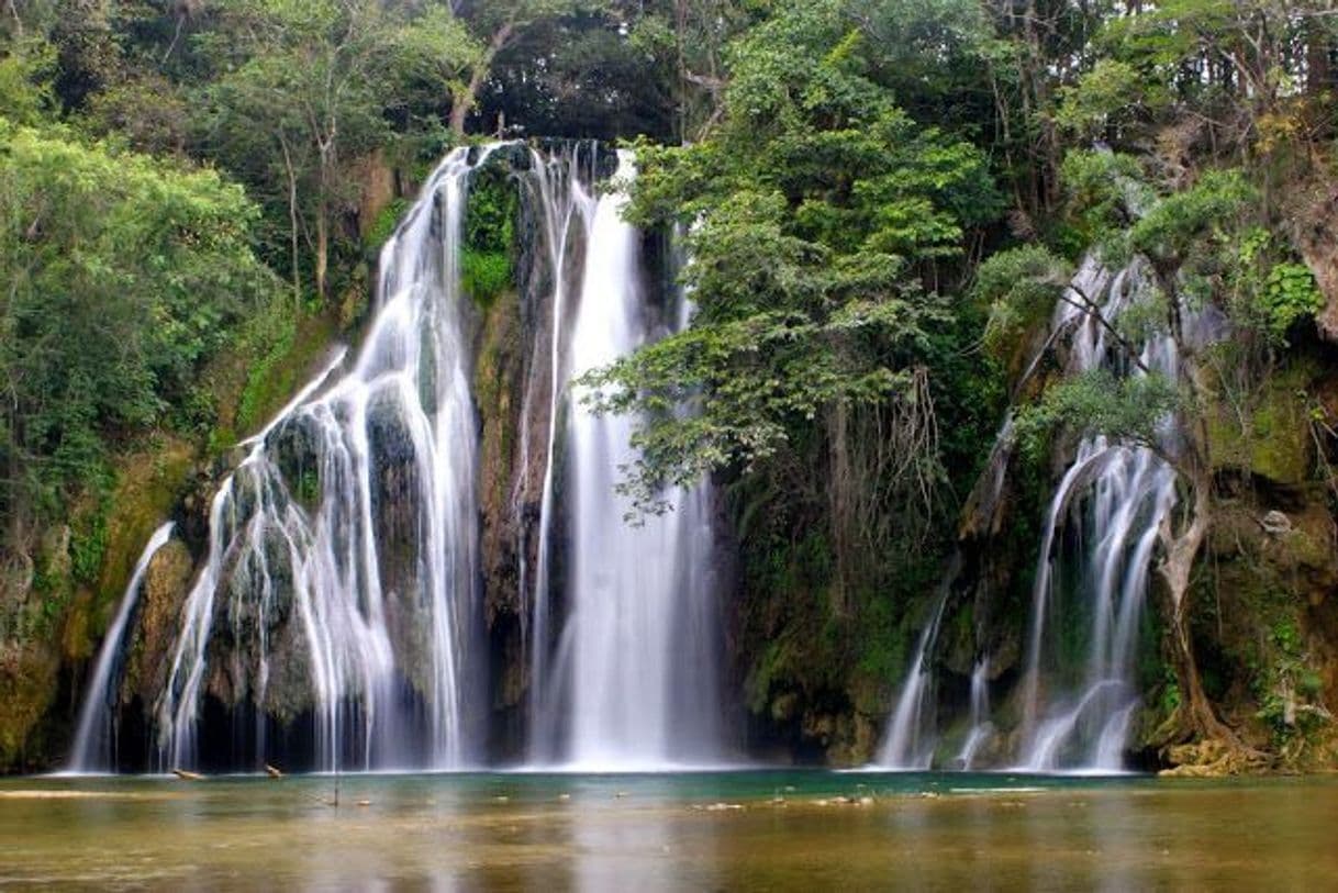 Place Cascadas de Tamasopo