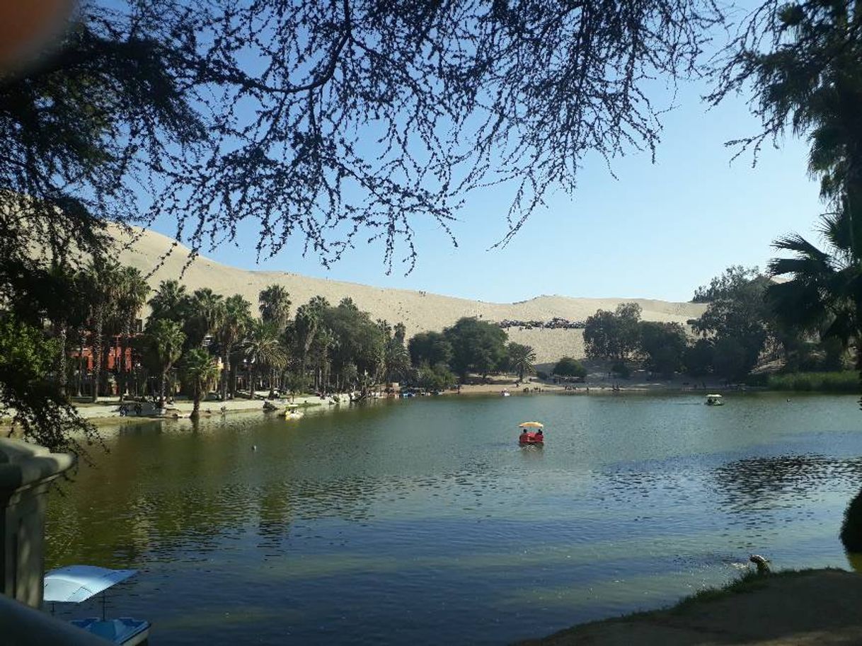 Lugar La Huacachina