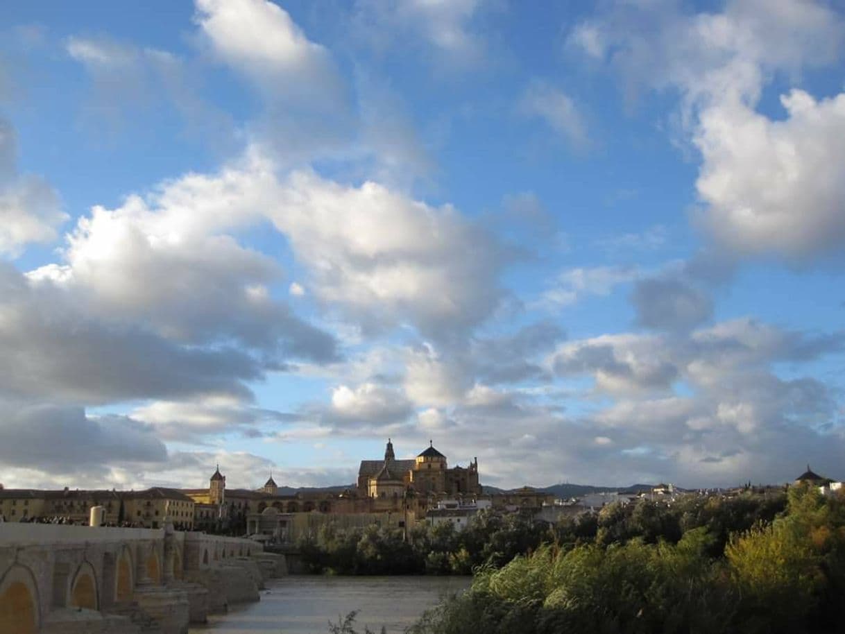 Lugar Mezquita-Catedral de Córdoba