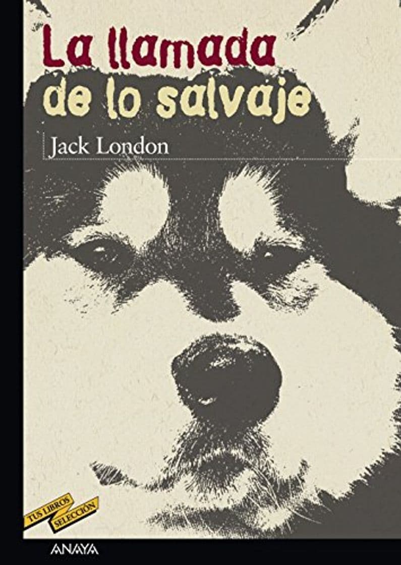 Book La llamada de lo salvaje